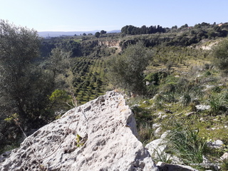 traro-30-12-2021 11-59-09